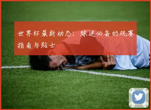 世界杯最新动态:球迷必备的观赛指南与贴士