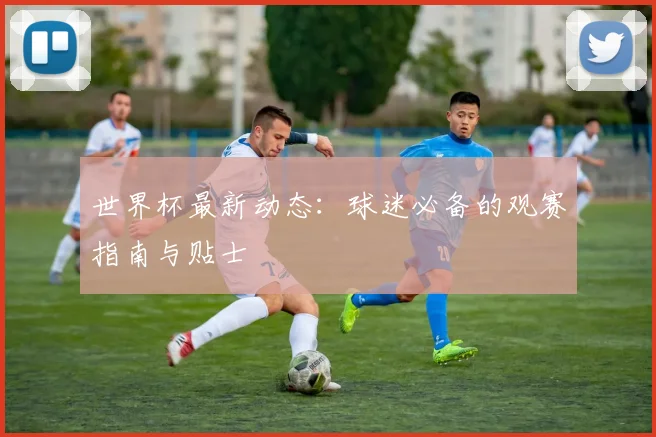 世界杯最新动态：球迷必备的观赛指南与贴士