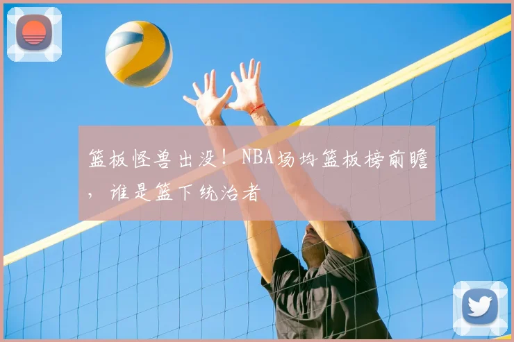 篮板怪兽出没!NBA场均篮板榜前瞻,谁是篮下统治者