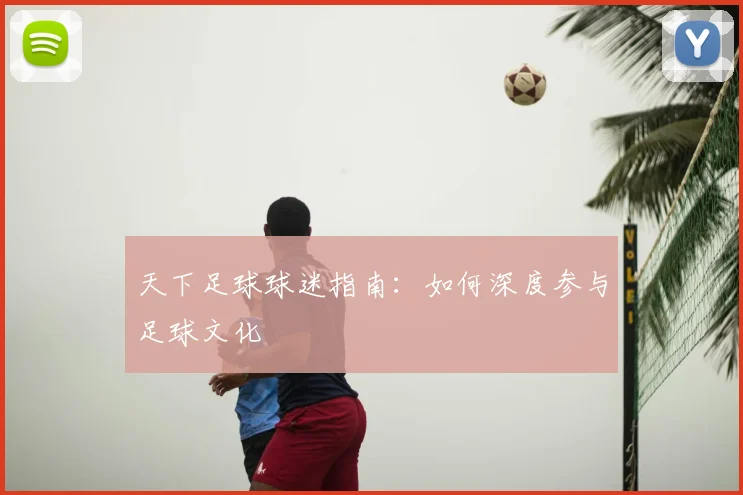 天下足球球迷指南:如何深度参与足球文化