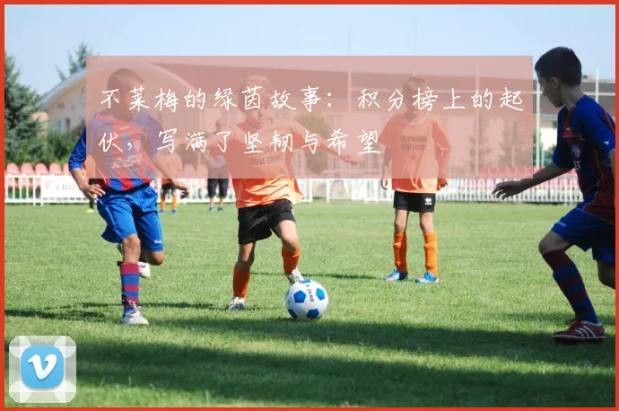 不莱梅的绿茵故事:积分榜上的起伏,写满了坚韧与希望