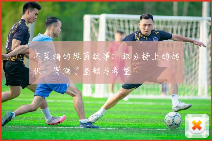 不莱梅的绿茵故事：积分榜上的起伏，写满了坚韧与希望