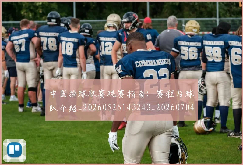 中国排球联赛观赛指南:赛程与球队介绍_20260526143243_20260704163530